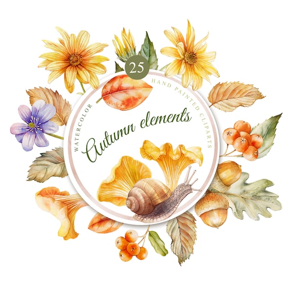 25 Autumn  Elements,  25 watercolor clipart,  hand painted, 300 dpi, png files without background