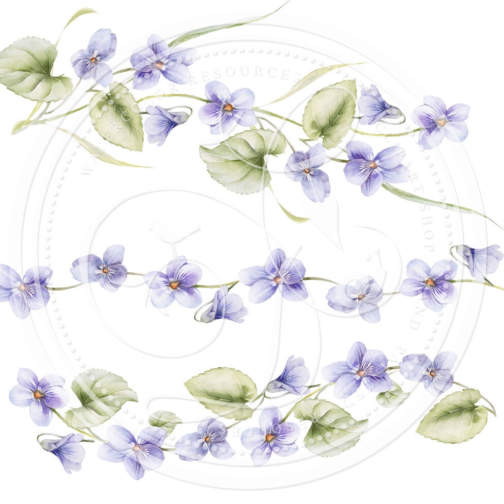 Sweet Violets Frames, Embellishment & Borders, Watercolor Hand Painted ...