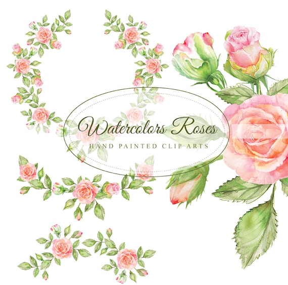 Hand painted roses. Roses. Watercolor Roses. Png file without | Etsy