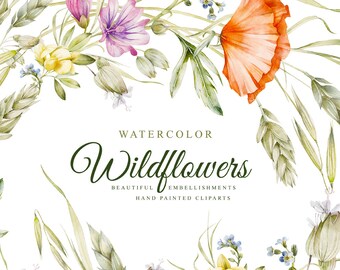 Wildflowers. Hand painted,  watercolors clipart, 5 beautiful embellishments and 34 files, 300 dpi, png. files without background