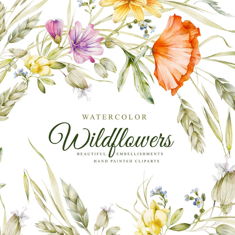 Hand painted 300 dpi watercolors clipart files without background png 5 beautiful embellishments Wildflowers