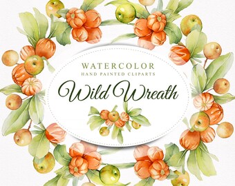 Wild Wreath, 3 watercolor, hand painted clipart's, png files without background, 300 dpi