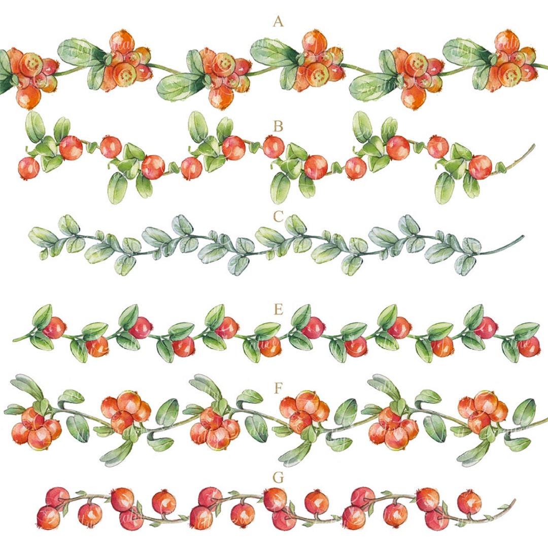 6 Borders Berries Hand Painted Clipart's Watercolor Etsy