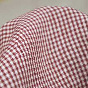 May include: Close-up of a red and white checkered fabric. The fabric is folded, showing the texture and pattern of the material. The pattern is a classic gingham design, with small squares of red and white.