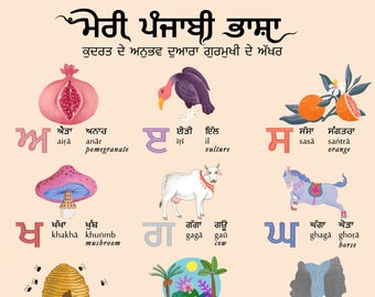 Complete Punjabi Alphabet Chart (art print)