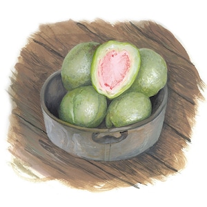 Pink Guava Still Life (art print)