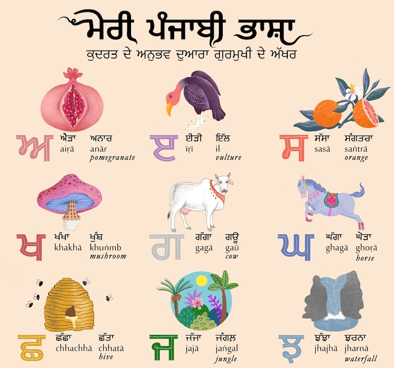 complete punjabi alphabet chart art print etsy