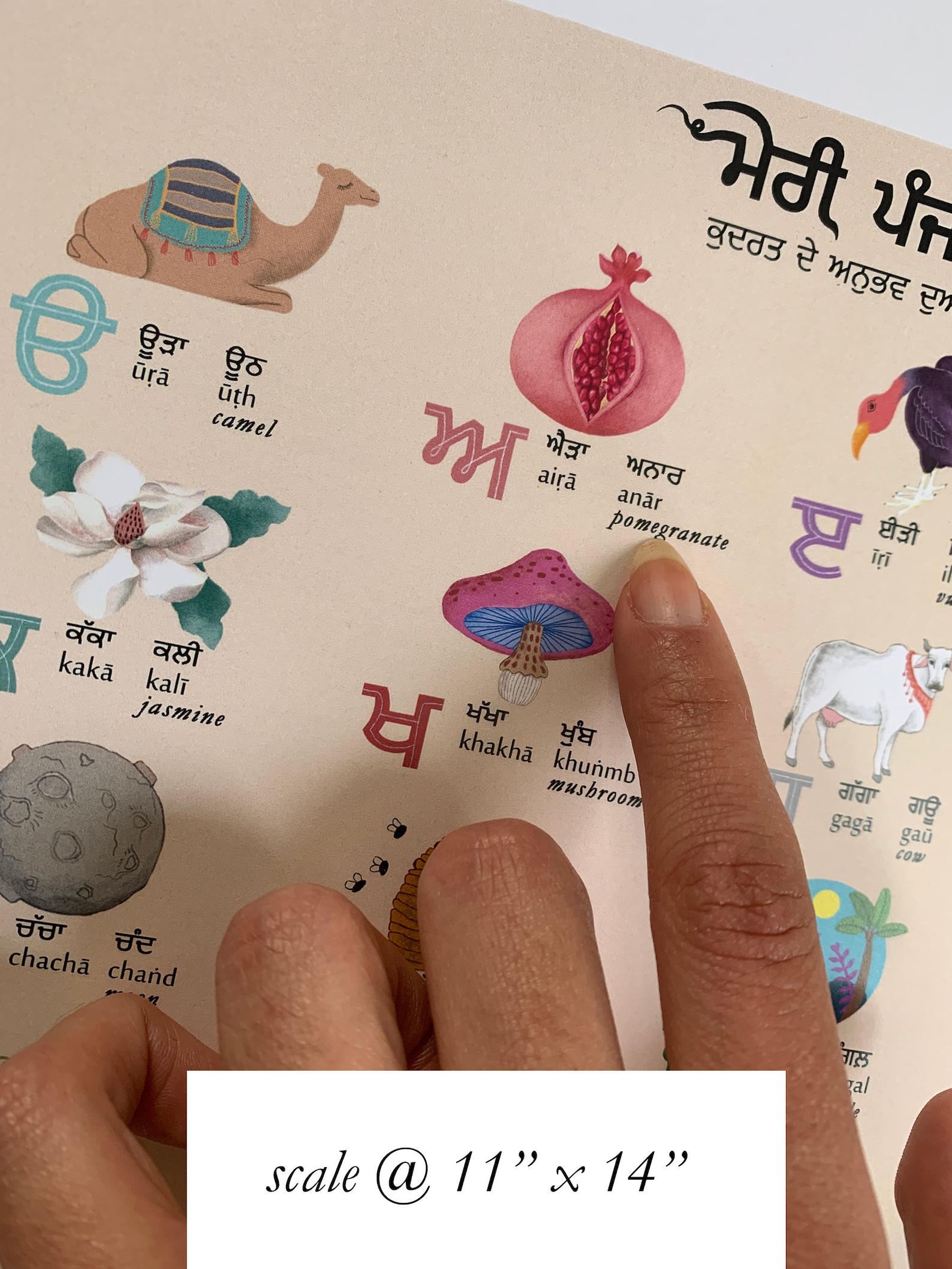 Complete Punjabi Alphabet Chart art Print Etsy