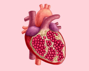 Pomegranate Heart (art print)