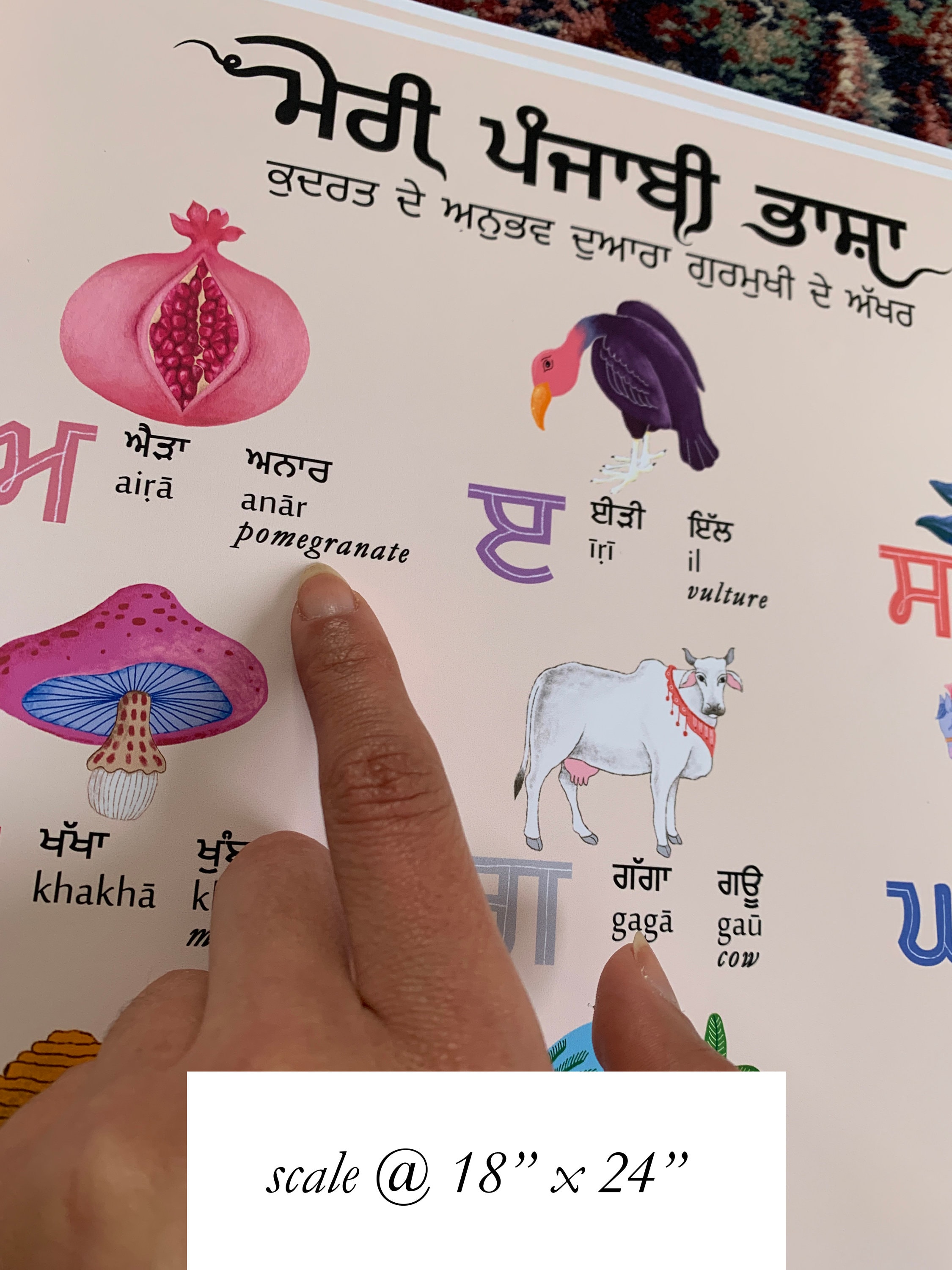 Complete Punjabi Alphabet Chart art Print Etsy UK