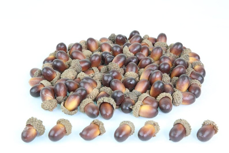 Artificial Acorns Lifelike Simulation Small Acorn Decoration Etsy