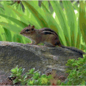Chipmunk counted cross stitch pattern. Digital download.