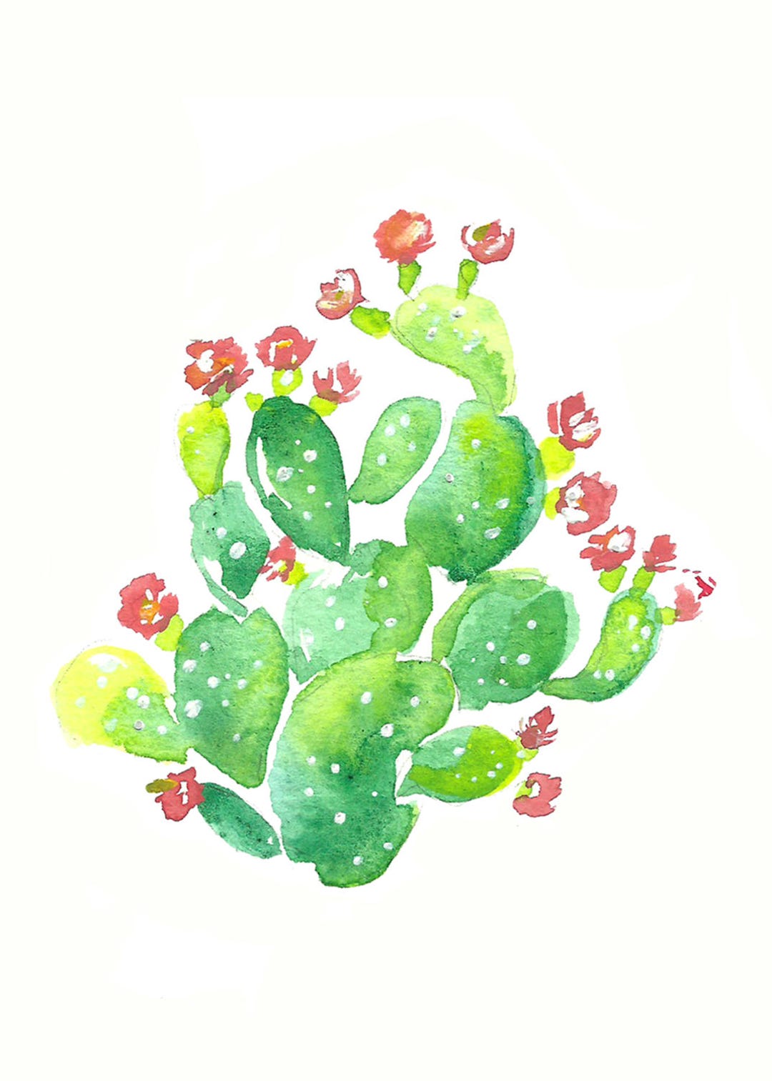 Prickly Pear Cactus Desert Botanical Watercolor Art Print - Etsy
