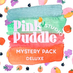 Mystery Box Pack Deluxe Art Prints Stickers Totes Tshirt