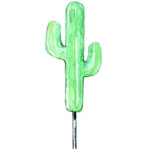 Desert Cactus  Saguaro Lollipop Watercolor Art Print Illustration 5x7