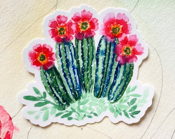 Strawberry Hedgehog Cactus Pink Flowers Botanical Watercolor Vinyl Sticker Decal