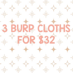 Burp cloth-LIONS burp cloth. Mix & Match burp cloth-Baby Shower Gift. Burp Rag. burp pads. modern burp cloth. Lion by Andrea Lauren image 6