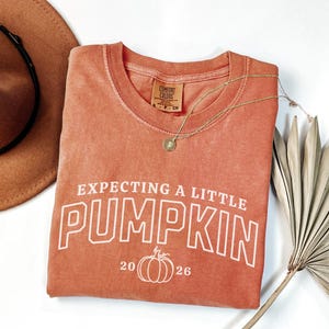 Pregnancy Announcement 2026 Comfort Colors Shirt, Fall Baby Reveal, Expecting a Little Pumpkin, Thanksgiving Pregnancy Reveal, Autumn Baby