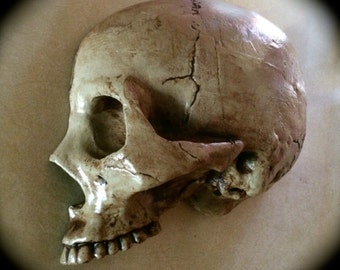 Stone Garden Skull