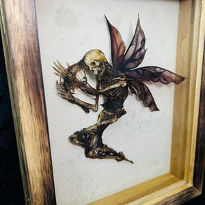 Vitrina de exhibición de hadas muertas