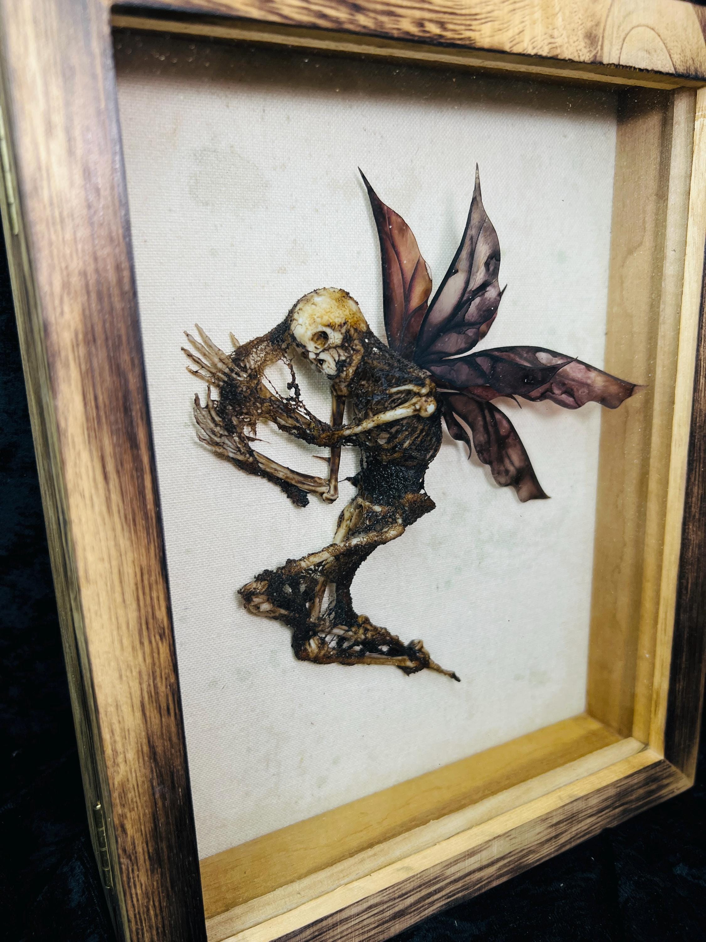 Dead Fairy Display Case - Etsy Israel