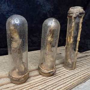 May include: Three glass vials with organic contents, set on a weathered wooden surface. The vials have a cylindrical shape with rounded tops. The contents appear to be fibrous and beige in color, encased in clear glass.