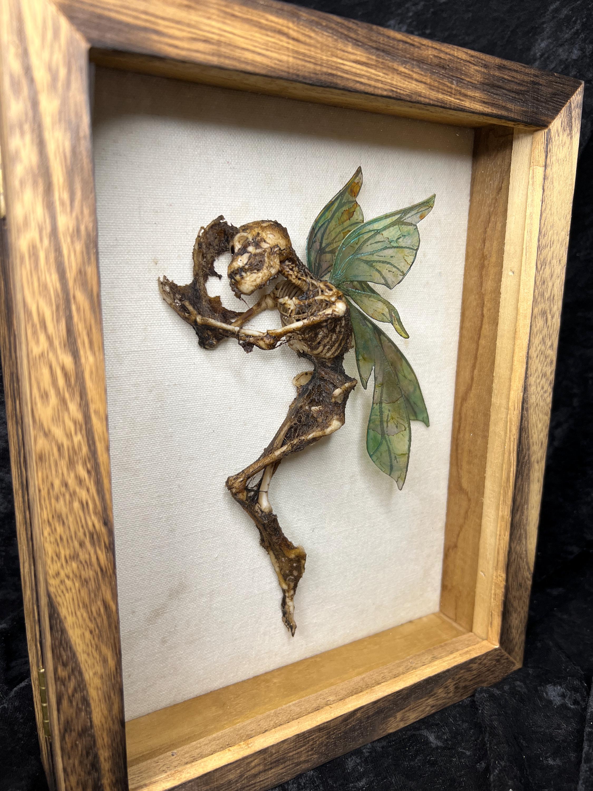 Dead Fairy Display Case - Etsy Israel