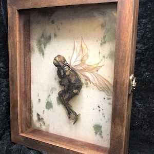 Dead Fairy Display Case
