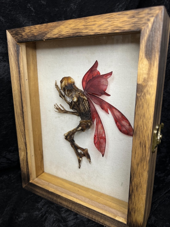 死んだ妖精の展示ケース - Etsy 日本