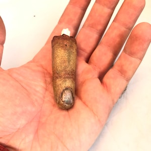 Severed Finger Prop