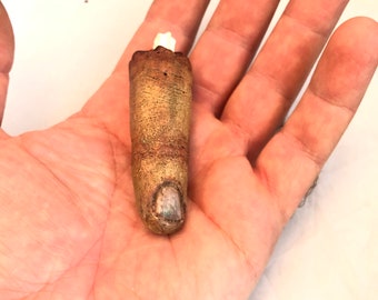Severed Finger Prop