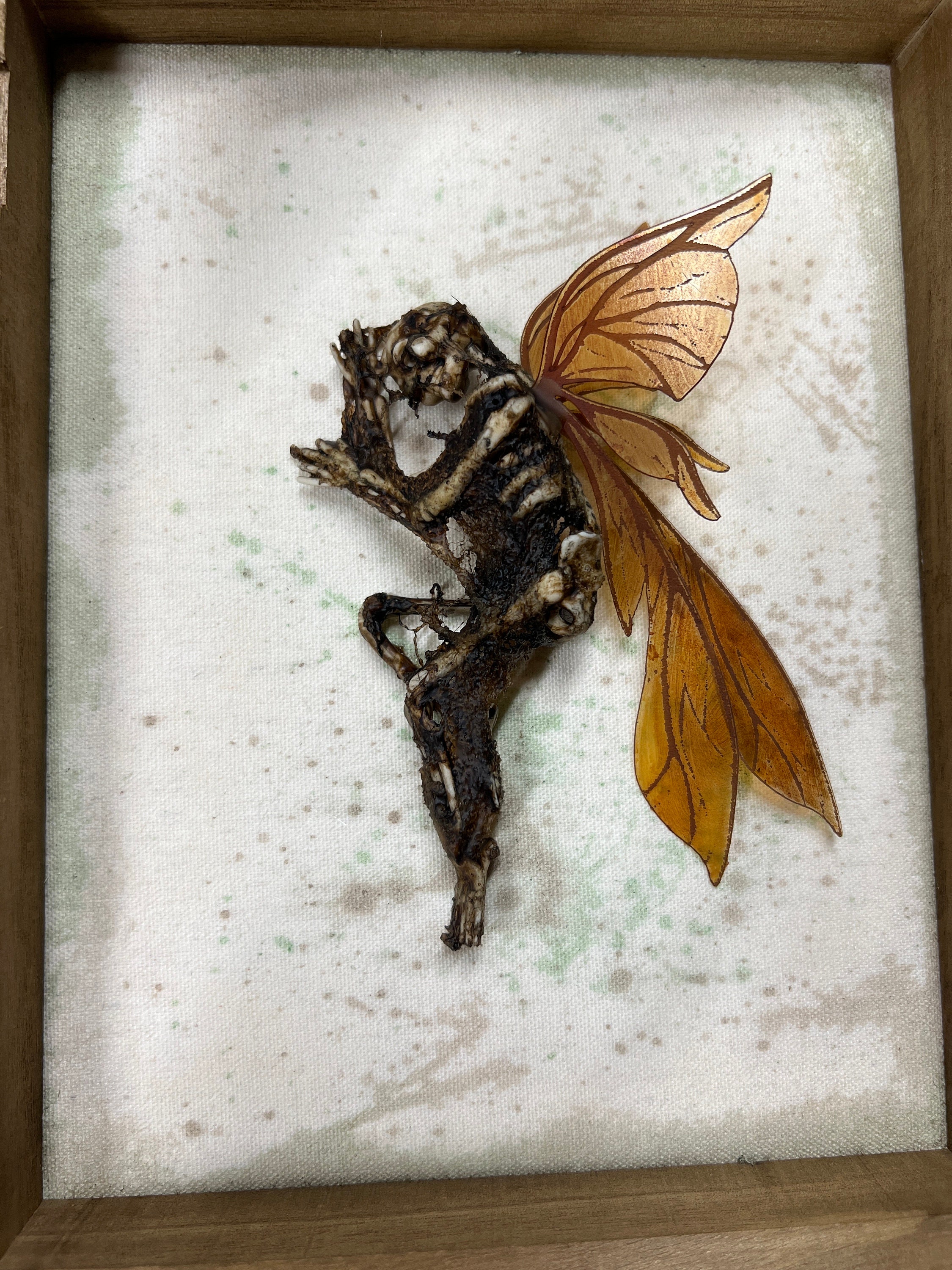 Dead Fairy Display Case - Etsy