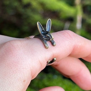 Rabbit ring 2024