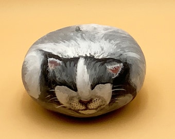 Handpainted Gray Sleeping Cat Gourd Art