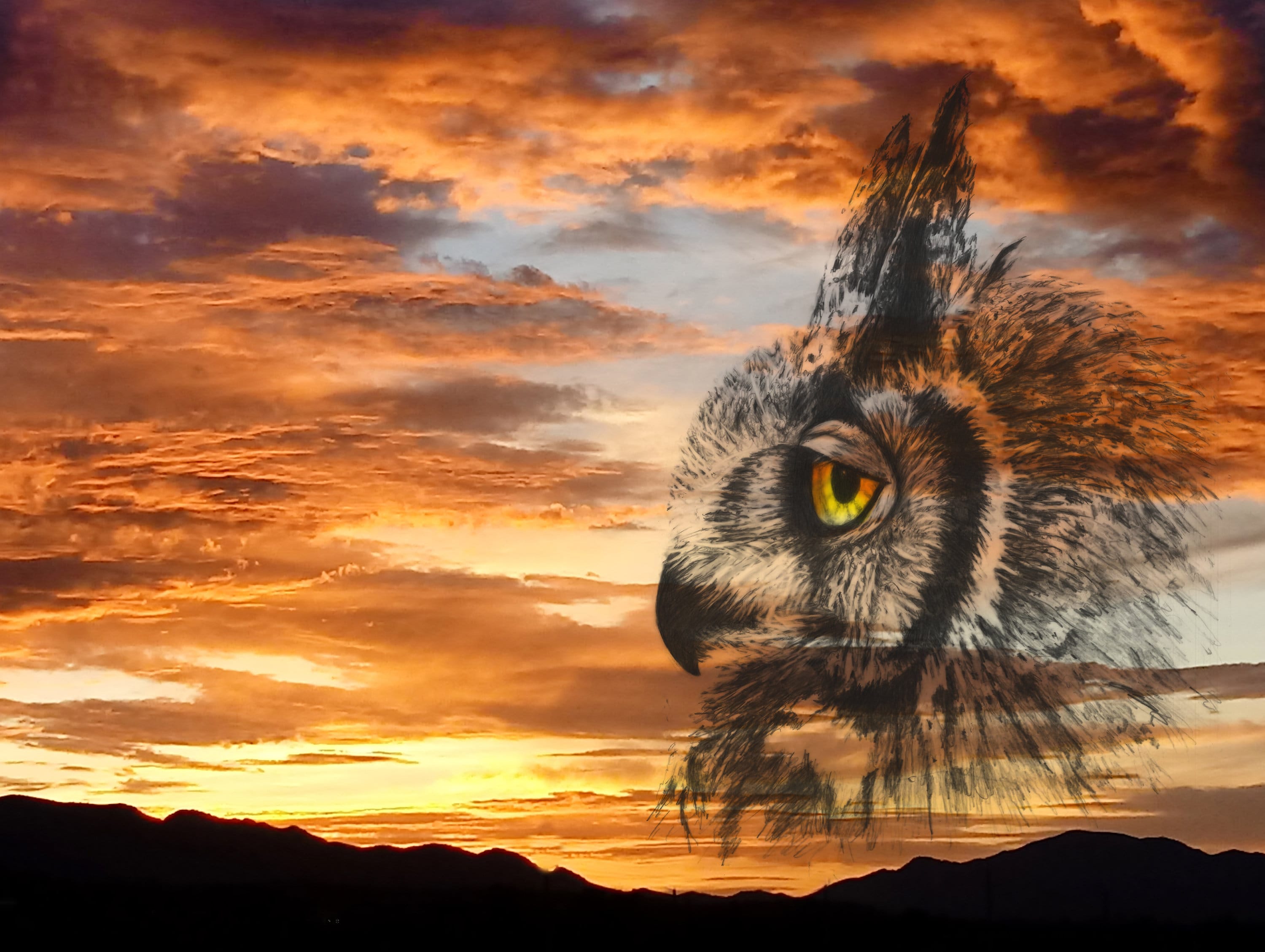 Great Horned Owl Native American Spirit Animal Wildlife Pencil Drawing sunrise photo Print Animal le