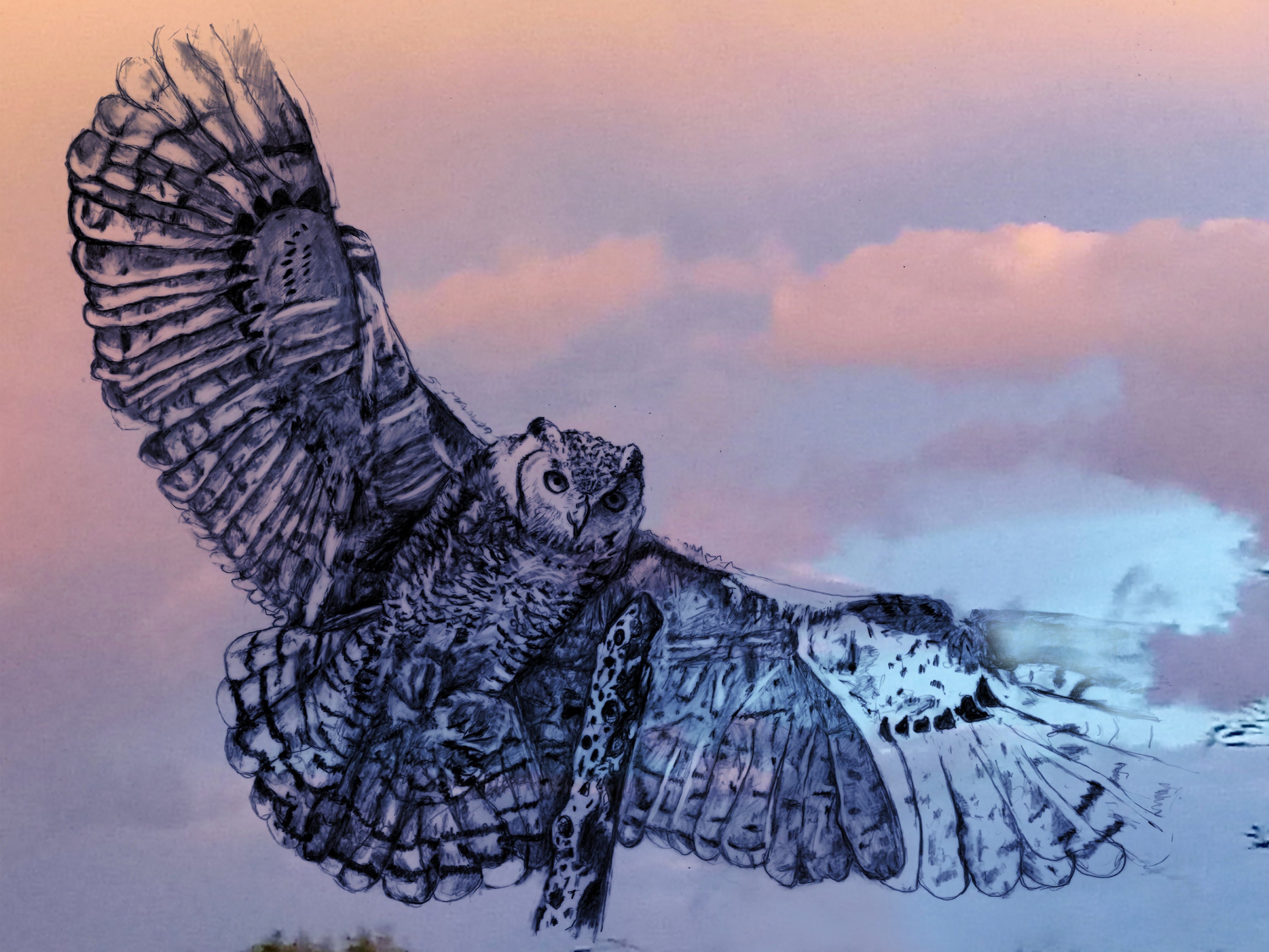 Great Horned Owl Totem Meanings