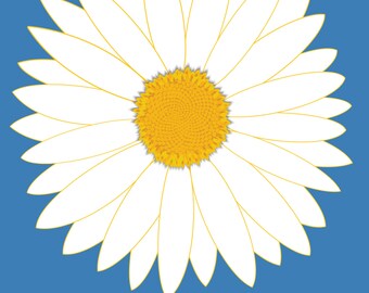 16x20 - Daisy Digital Download - You Print - Graduation Guestbook Poster/ Bridal Shower/ Wedding Poster/ Personalized -16x20-Approx. 40 Sigs