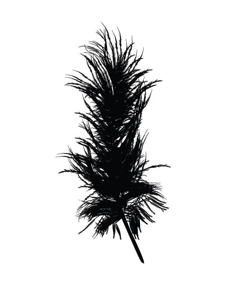 Set of 3 Black and White Feather Prints/ Modern Feather Etsy