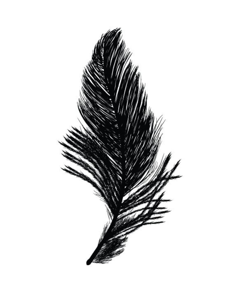 Set of 3 Black and White Feather Prints/ Modern Feather - Etsy