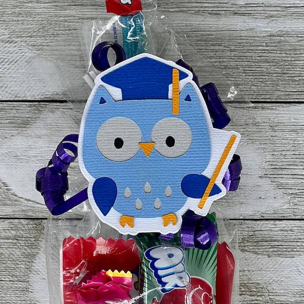 Graduation Owl, Grad Gift 2024, Graduation 2024 Gift, Graduation 2024 Ideas, Graduation Candy Bags, Graduation Favors for Guest, Grad Squad