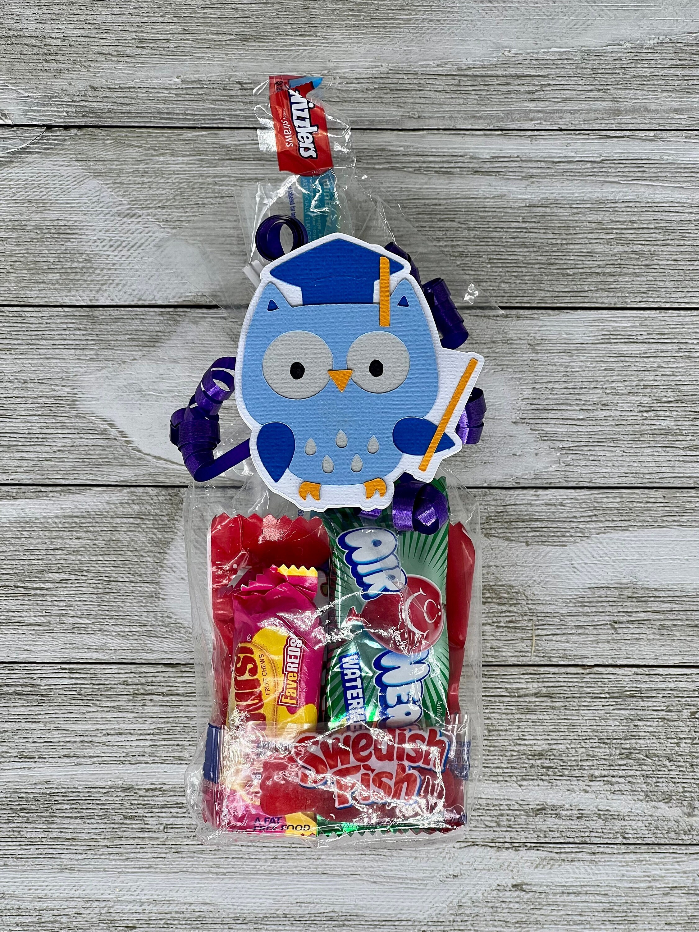 Graduation Owl, Grad Gift 2024, Graduation 2024 Gift, Graduation 2024 Ideas, Graduation Candy Bags, Graduation Favors for Guest, Grad Squad