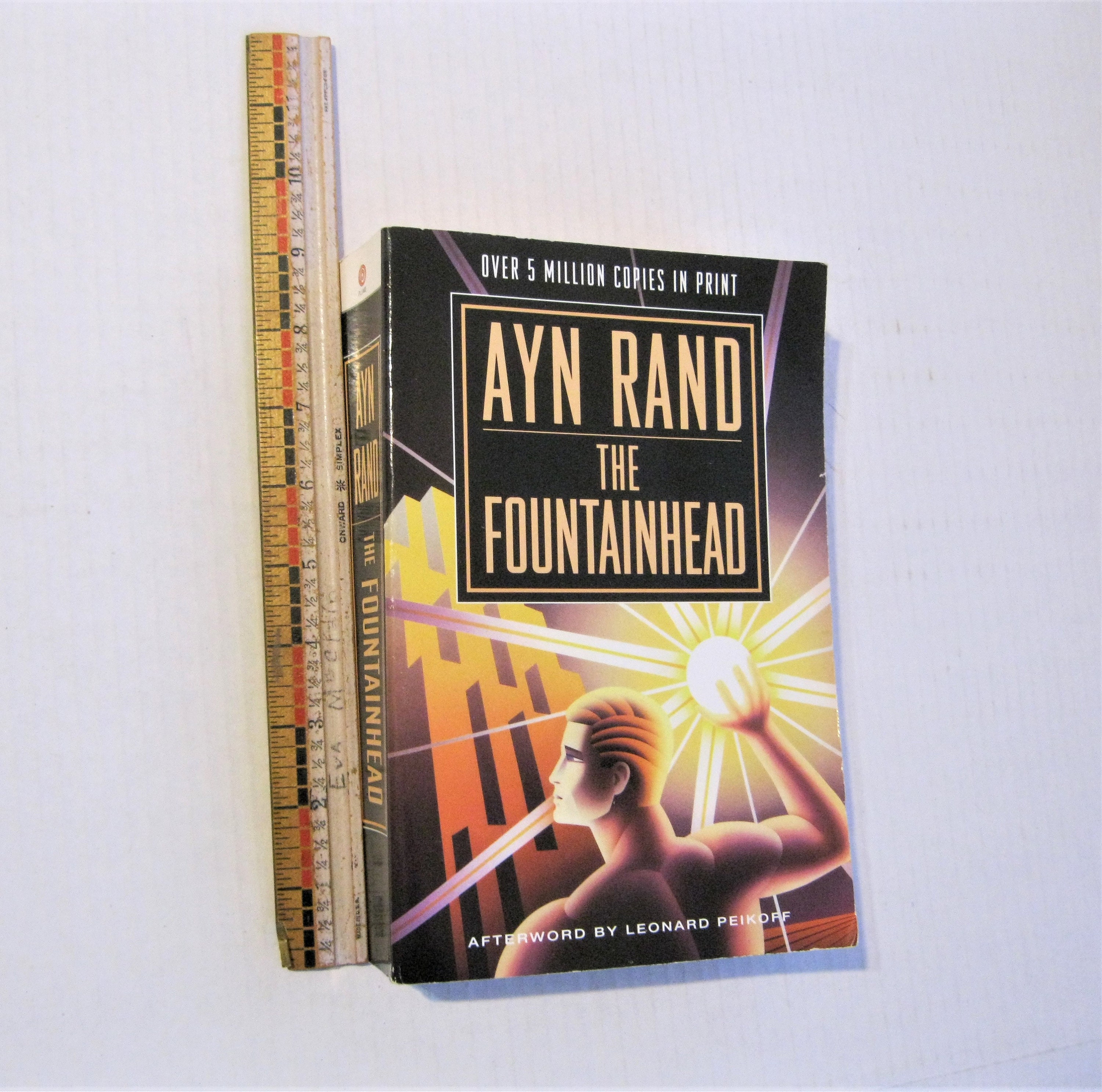 The Fountainhead, by Ayn Rand, Large Paperback Book - Etsy