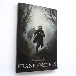 Frankenstein, By Mary Shelley, Paperback Book In Practically New Condition