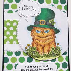May include: A St. Patrick's Day greeting card featuring an orange cat wearing a green leprechaun hat with a gold buckle and a four-leaf clover. The card includes the text "Pinch me. I dare you." and "Wishing you luck. You're going to need it."