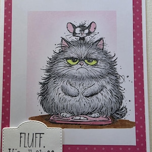 May include: A greeting card featuring a drawing of a grumpy, fluffy gray cat standing on a pink scale with a small mouse on its head. The background is pink with white polka dots. A white label at the bottom reads, "FLUFF. It's all fluff."