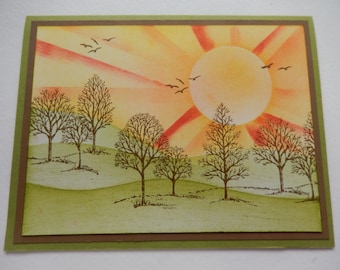 Trees in the Sunshine Card