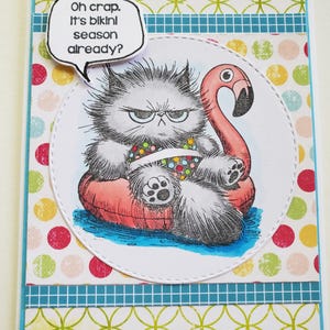 May include: A handmade greeting card featuring a grumpy gray cat in a flamingo pool float. The cat has an annoyed expression and the text bubble says, "Oh crap. It's bikini season already?" The card has a colorful polka dot and geometric pattern.