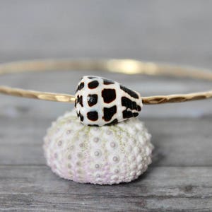 Peut inclure: Un bracelet jonc doré avec une texture martelée, orné d'un coquillage tacheté noir et blanc. Le coquillage repose sur un oursin blanc. Le bracelet est présenté sur une surface en bois grise.