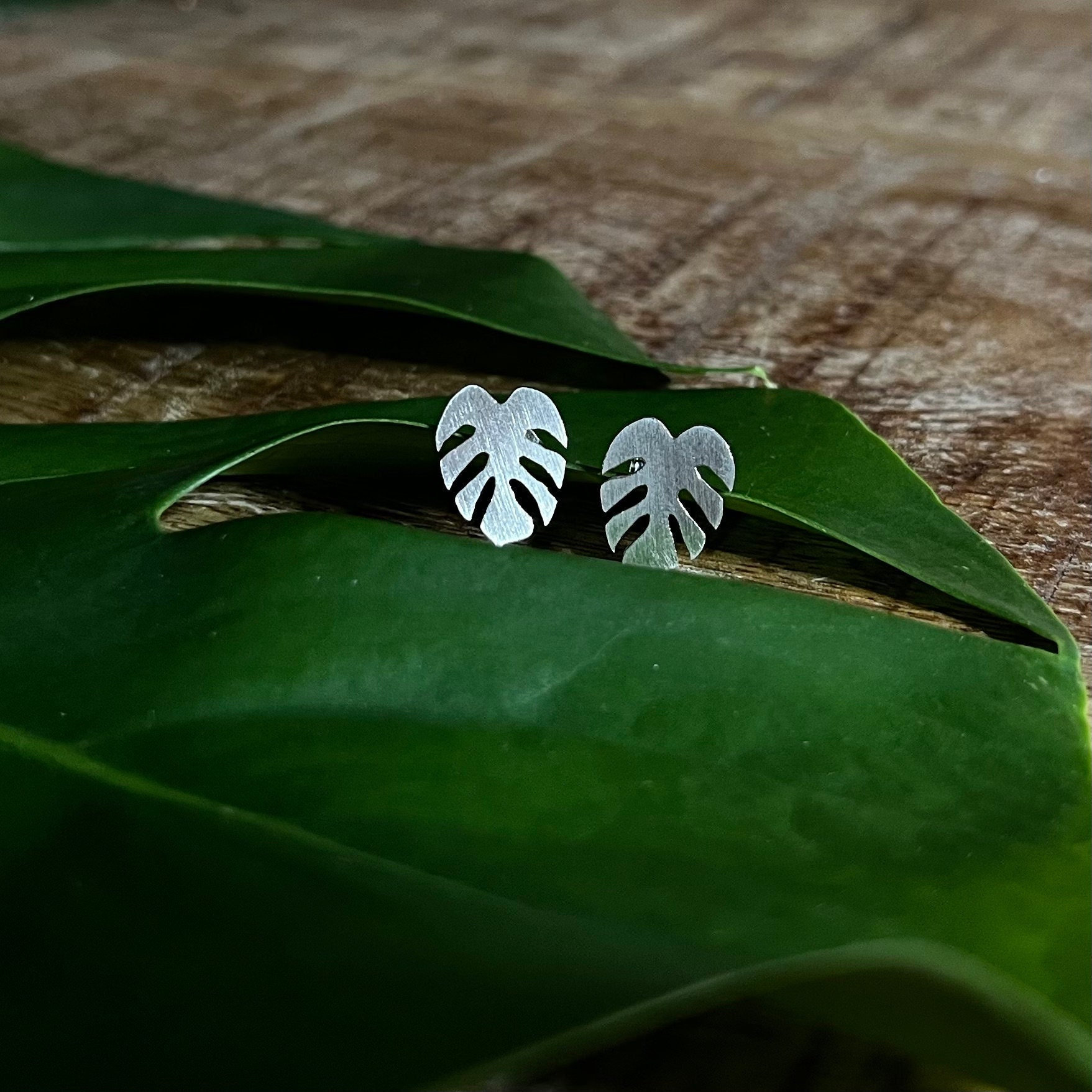 goldband liguster 8x Goldband Liguster - Ligustrum ovalifolium Aureum | 8 Pflanzen