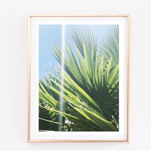 Palm Tree Leaves Beach Art Painting Art Print Room Decor Etsy